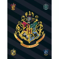 Harry Potter Black polár takaró 100x140cm