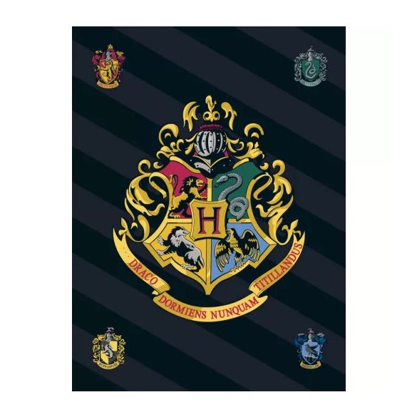 Harry Potter Black polár takaró 100x140cm