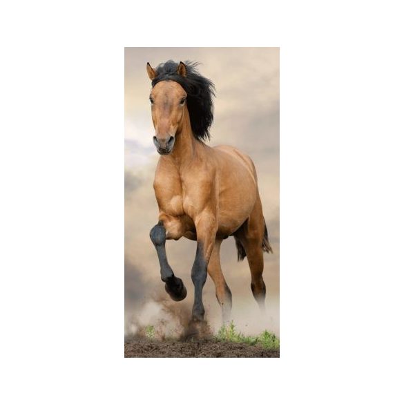 Lovas, The Horses fürdőlepedő, strand törölköző 70*140cm